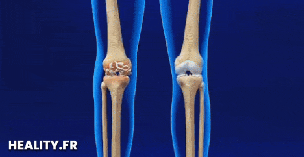 Genouillère Bambou Confort