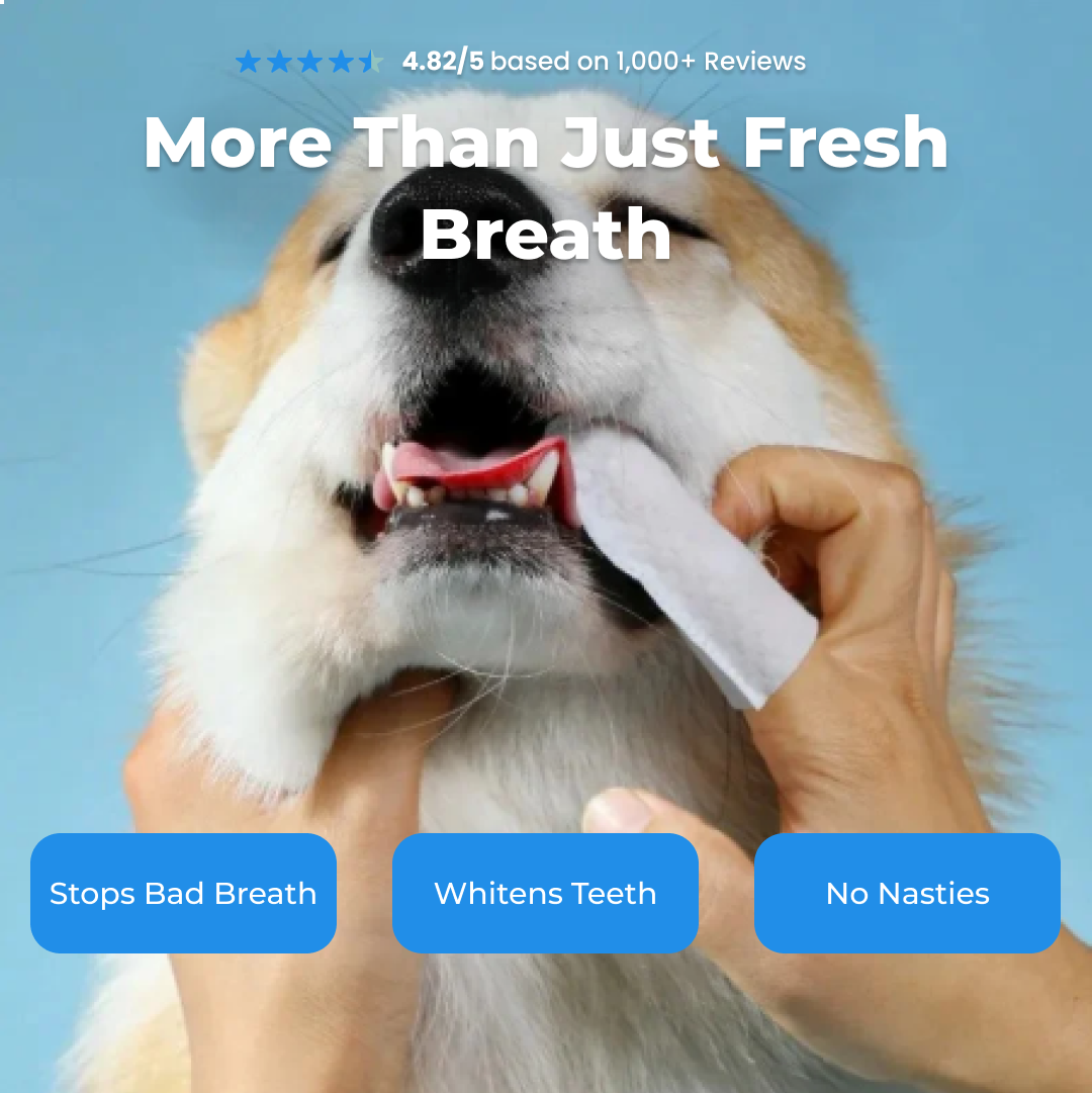Pet Dental Finger Wipes