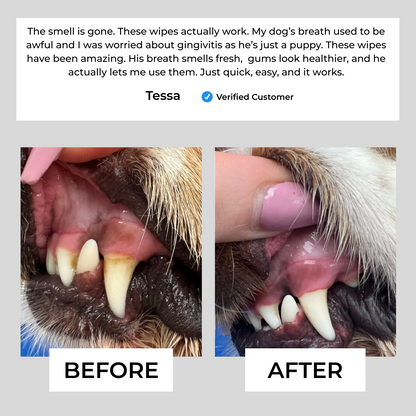 Pet Dental Finger Wipes