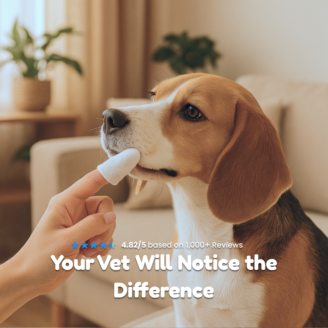 Pet Dental Finger Wipes
