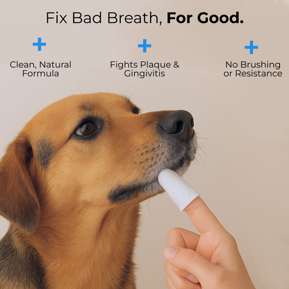 Pet Dental Finger Wipes