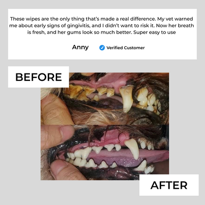 Pet Dental Finger Wipes
