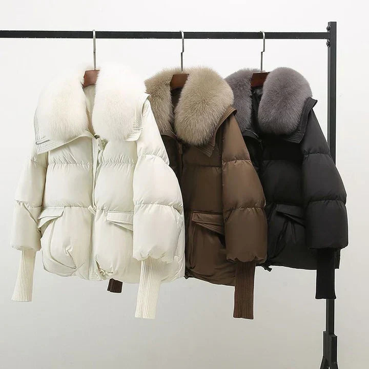 Cozy Chic Jacket for Women